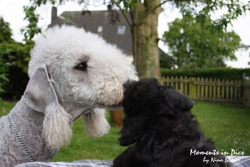 Arc-en-ciel Antares 2009-06-17 (38).JPG